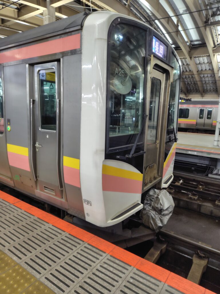 画像に alt 属性が指定されていません。ファイル名: 260107050248181-768x1024.jpg