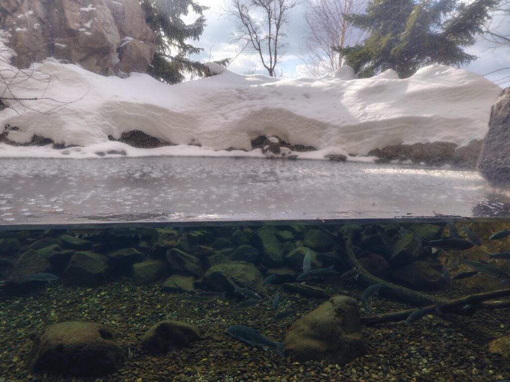 画像に alt 属性が指定されていません。ファイル名: 260204091507184-1024x768.jpg