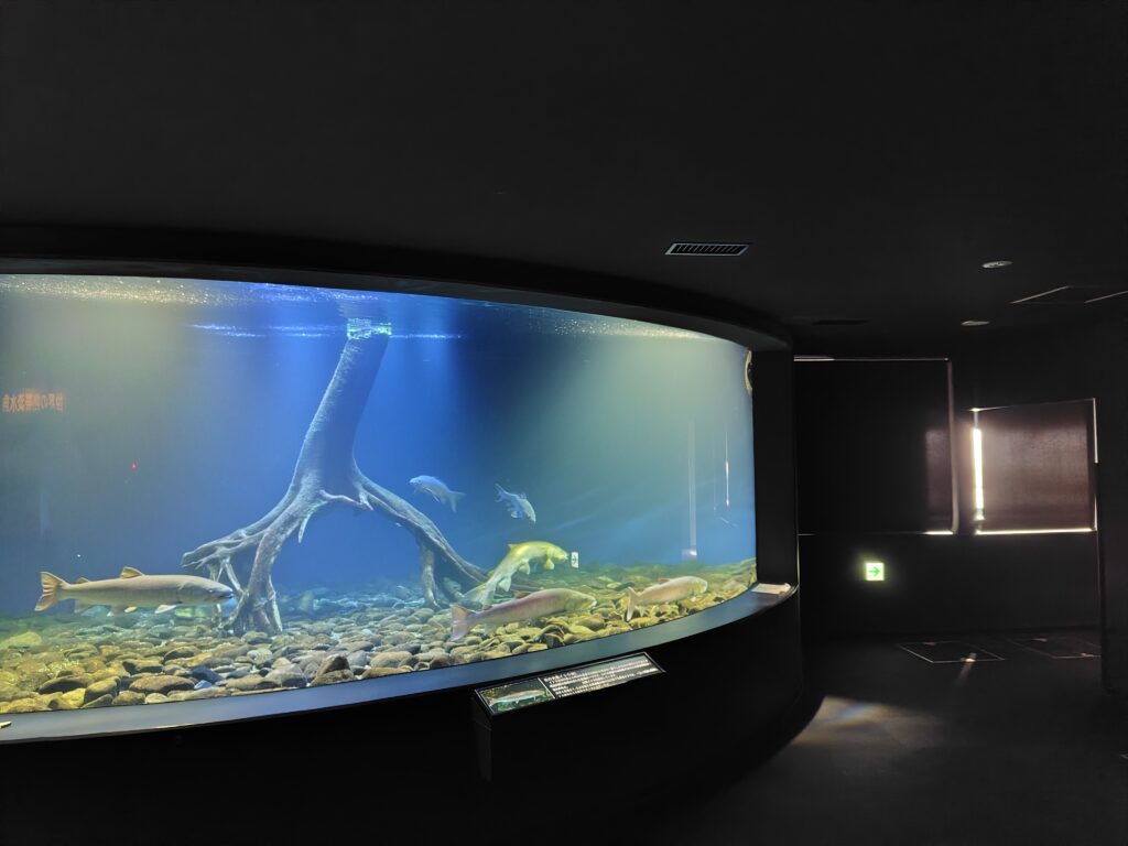 画像に alt 属性が指定されていません。ファイル名: 260204092546496-1024x768.jpg