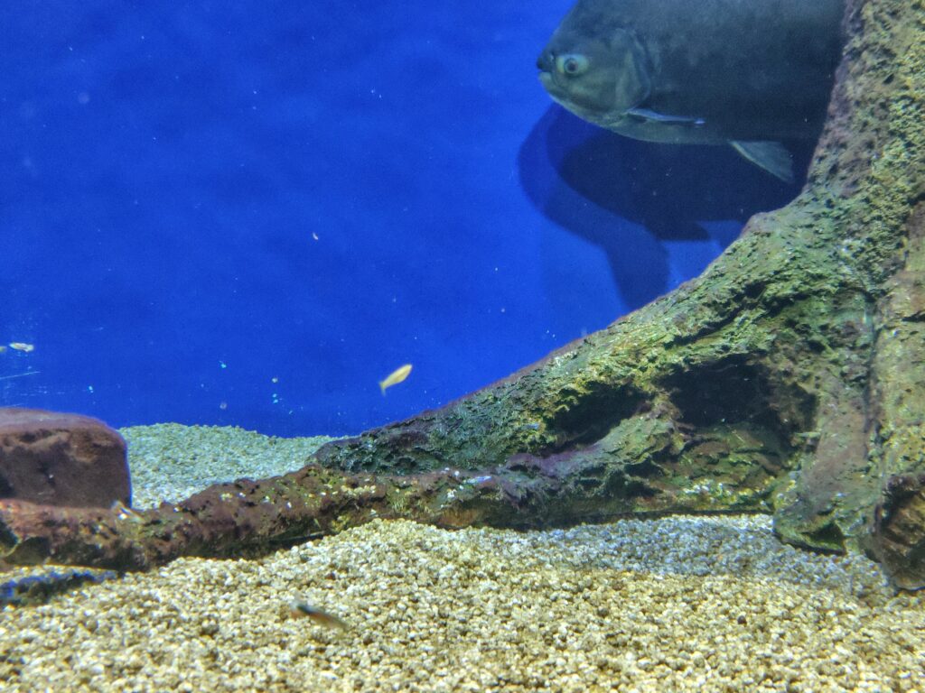 画像に alt 属性が指定されていません。ファイル名: 260204092916626-1024x768.jpg