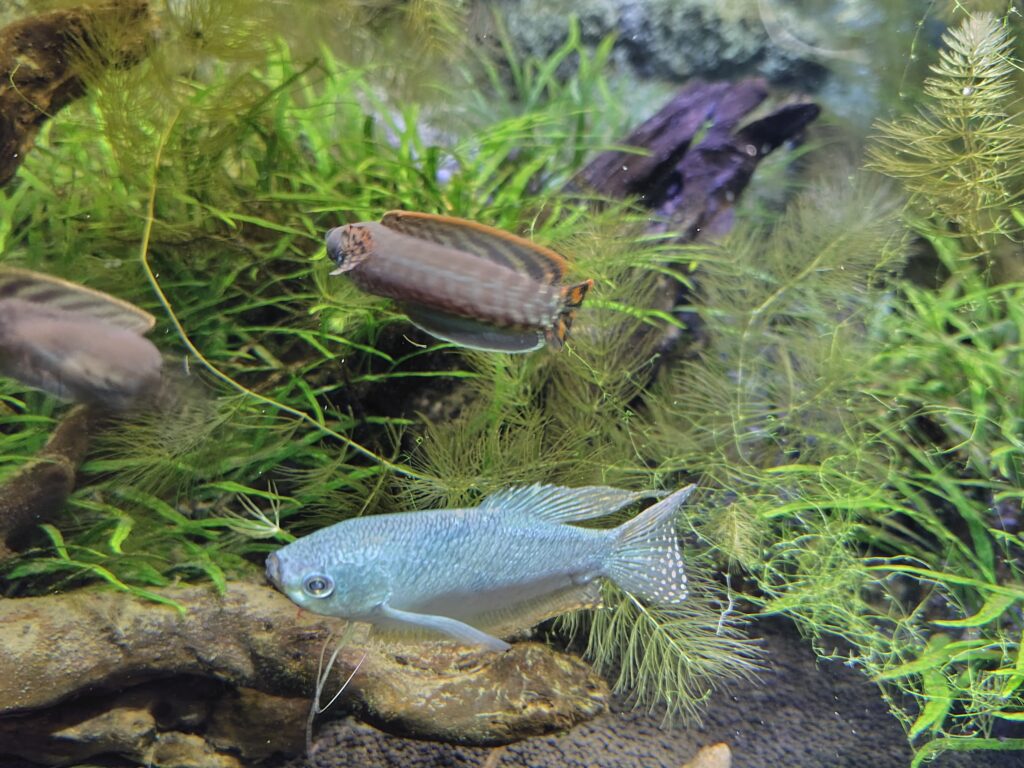 画像に alt 属性が指定されていません。ファイル名: 260204093724004-1024x768.jpg