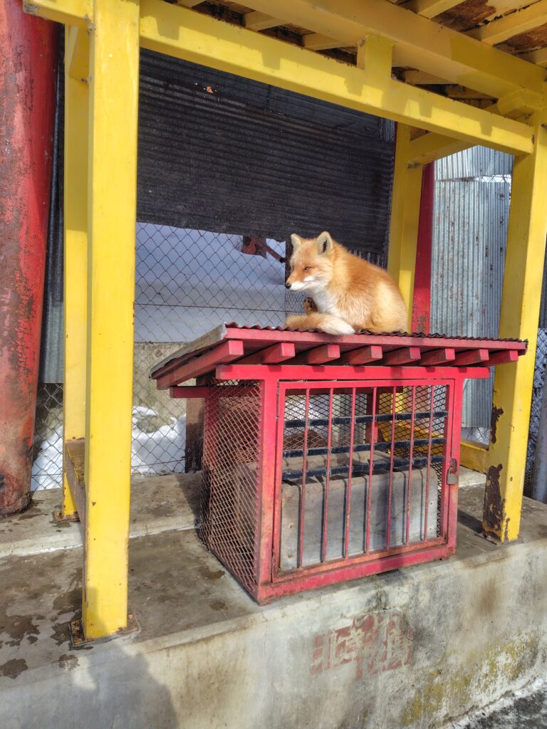 画像に alt 属性が指定されていません。ファイル名: 260204104456511-768x1024.jpg