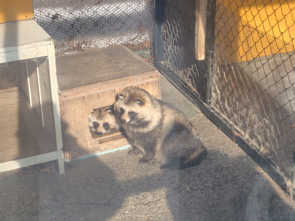 画像に alt 属性が指定されていません。ファイル名: 260204104737567-1024x768.jpg