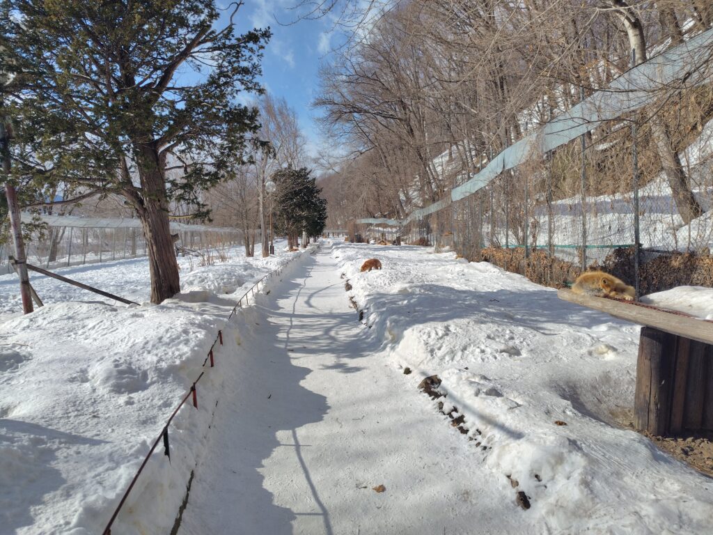 画像に alt 属性が指定されていません。ファイル名: 260204104842175-1024x768.jpg