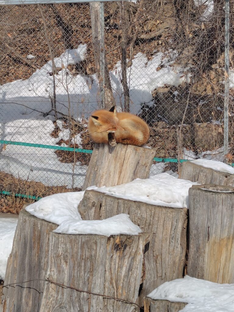 画像に alt 属性が指定されていません。ファイル名: 260204105809125-768x1024.jpg