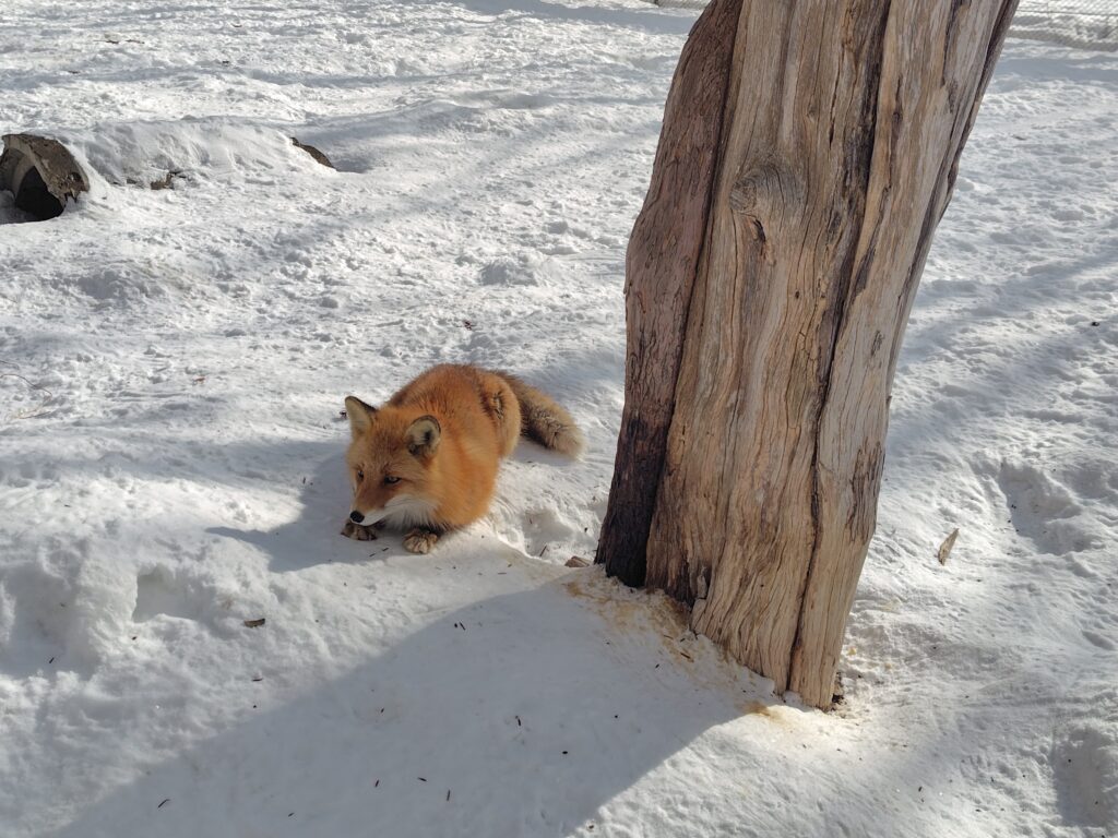 画像に alt 属性が指定されていません。ファイル名: 260204105850903-1024x768.jpg