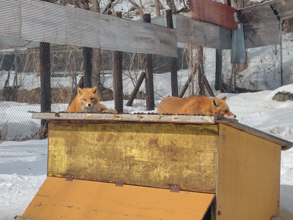 画像に alt 属性が指定されていません。ファイル名: 260204110251471-1024x768.jpg