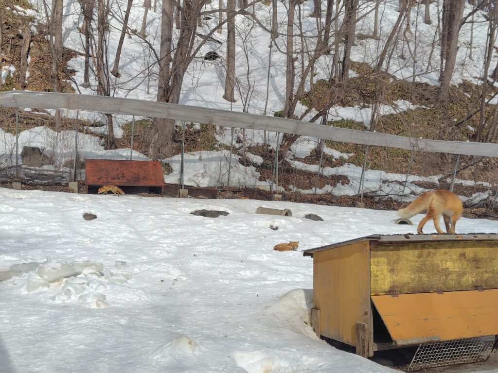 画像に alt 属性が指定されていません。ファイル名: 260204110535157-1024x768.jpg