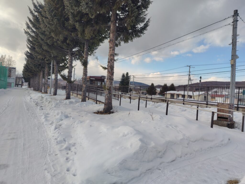 画像に alt 属性が指定されていません。ファイル名: 260204132939317-1-1024x768.jpg